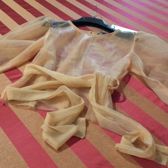 Zara See through puff sleeve nylon top with tie - Picture 8 of 9